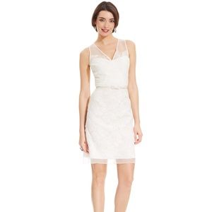 NWT! Maggy London Illusion Lace Sheath Dress